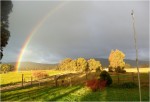 Thurstin photo2